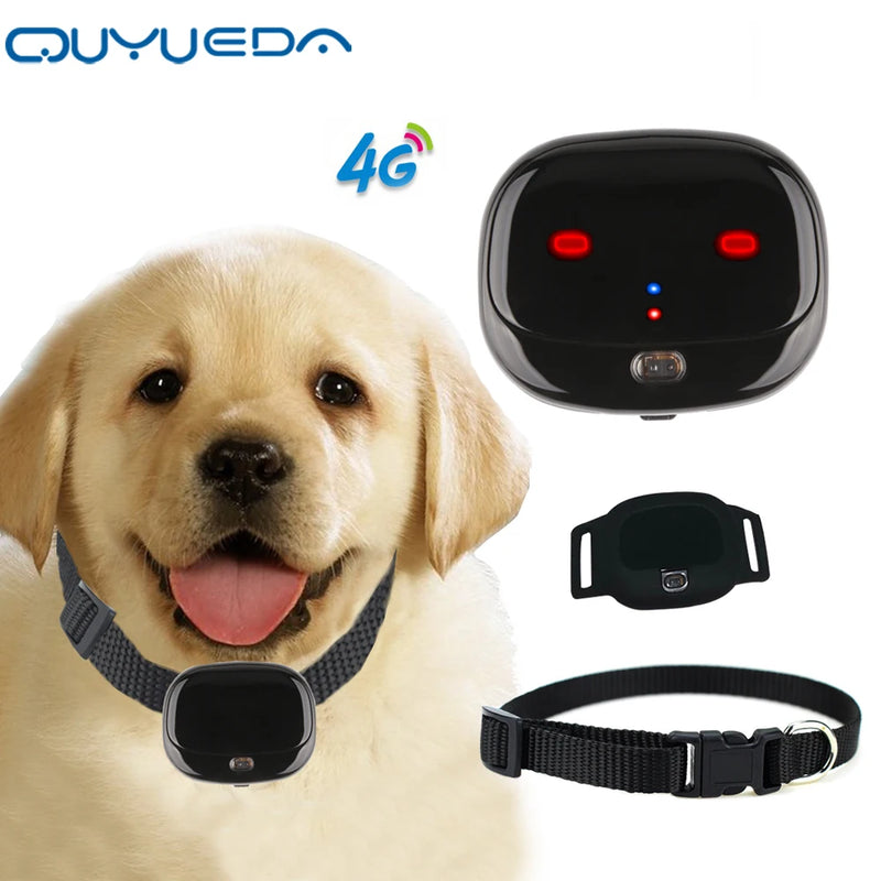 Mini coleira GPS para animais de estimação 4g, à prova d'água, suporte para geo-cerca, wi-fi